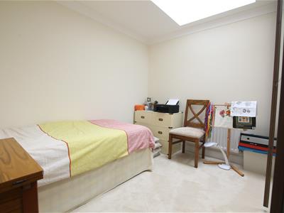 Picture 13